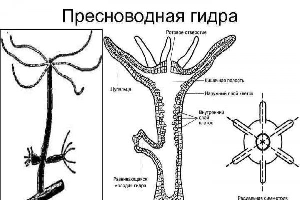 Аналоги mega