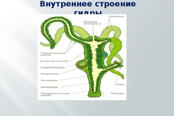 Кракен рабочее зеркало kraken6.at kraken7.at kraken8.at