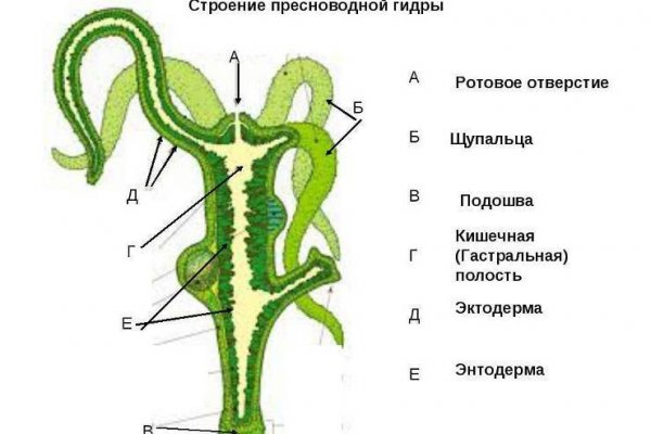 Обменники на блэкспрут перевод на альфа банк