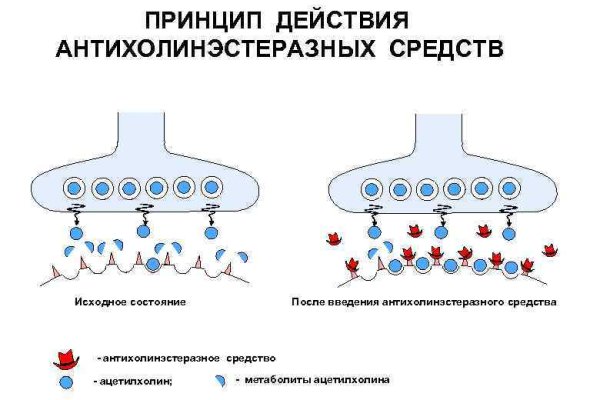 Почему не работает кракен в тор